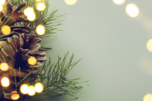 Festive Lights Update: Cranleigh's Christmas Preparations