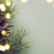 Festive Lights Update: Cranleigh’s Christmas Preparations